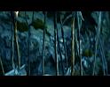 PDVD_860