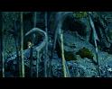 PDVD_861