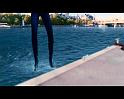 PDVD_1123