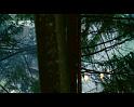 PDVD_1419