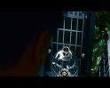 PDVD_1429