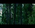 PDVD_1455