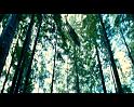 PDVD_1521