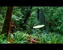 PDVD_1523