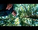 PDVD_1527