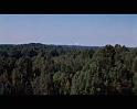 PDVD_170