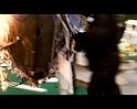 PDVD_621