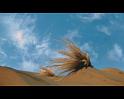 PDVD_735
