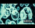PDVD_870