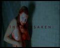 PDVD_003.jpg