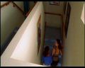 PDVD_028.jpg