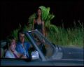 PDVD_228.jpg