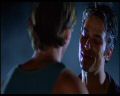 PDVD_388.jpg