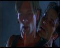 PDVD_397.jpg