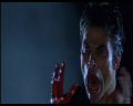 PDVD_406.jpg
