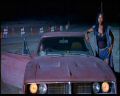 PDVD_1131.jpg