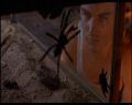 PDVD_1189.jpg