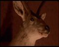 PDVD_1193.jpg