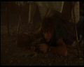 PDVD_1338.jpg