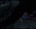 PDVD_1415.jpg