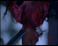 PDVD_1505.jpg