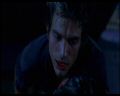 PDVD_1568.jpg