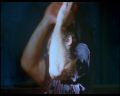PDVD_1690.jpg