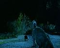 PDVD_1275