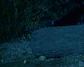 PDVD_1276