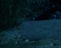 PDVD_1279