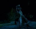 PDVD_1288