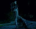 PDVD_1289