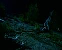 PDVD_1297