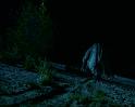 PDVD_1303