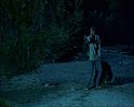 PDVD_1305