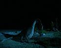 PDVD_1308