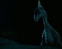 PDVD_1316
