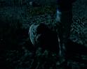 PDVD_1322