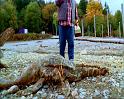 PDVD_1362