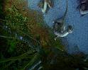 PDVD_1823