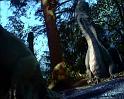 PDVD_1869