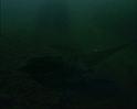 PDVD_2105