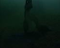 PDVD_2158