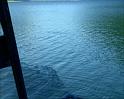 PDVD_2237