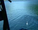 PDVD_2239