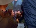 PDVD_2272