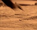 PDVD_239