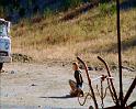 PDVD_2394