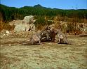 PDVD_2440