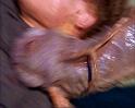 PDVD_2446